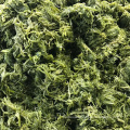 https://www.bossgoo.com/product-detail/shredded-salted-wakame-slice-raw-material-62183486.html